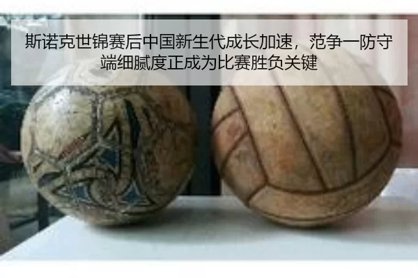 si-nuo-ke-shi-jin-sai-hou-zhong-guo-xin-sheng-dai-cheng-zhang-jia-su-fan-zheng-yi-fang-shou-duan-xi-ni-du-zheng-cheng-2-765.jpg